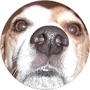 Kathy Lane profile picture