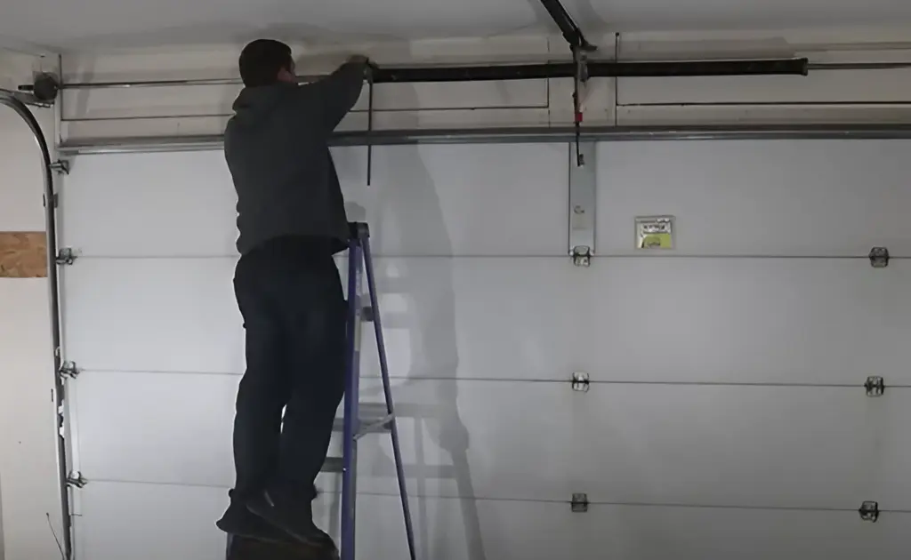 garage door professional
